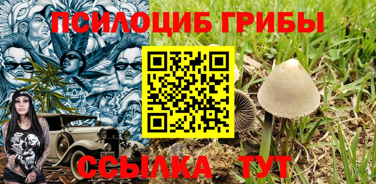 Галлюциногенные грибы MAGIC MUSHROOMS Ростов Великий