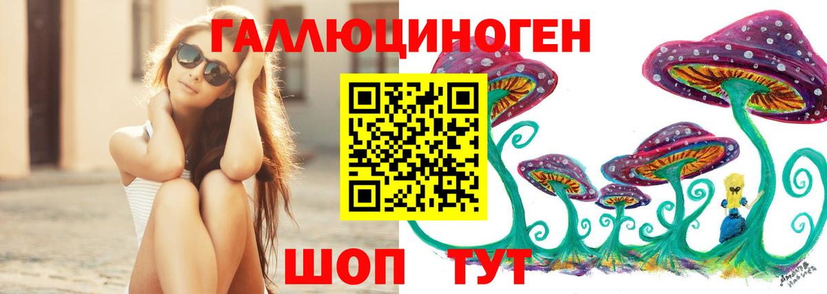 Ростов Великий  Псилоцибиновые грибы MAGIC MUSHROOMS  Вход с VPN  Псилоцибиновые грибы прущие грибы 